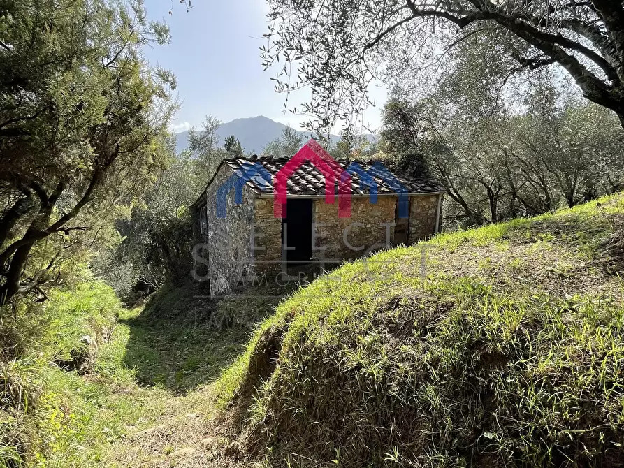 Immagine 5 di Rustico / casale in vendita  a Borgo A Mozzano