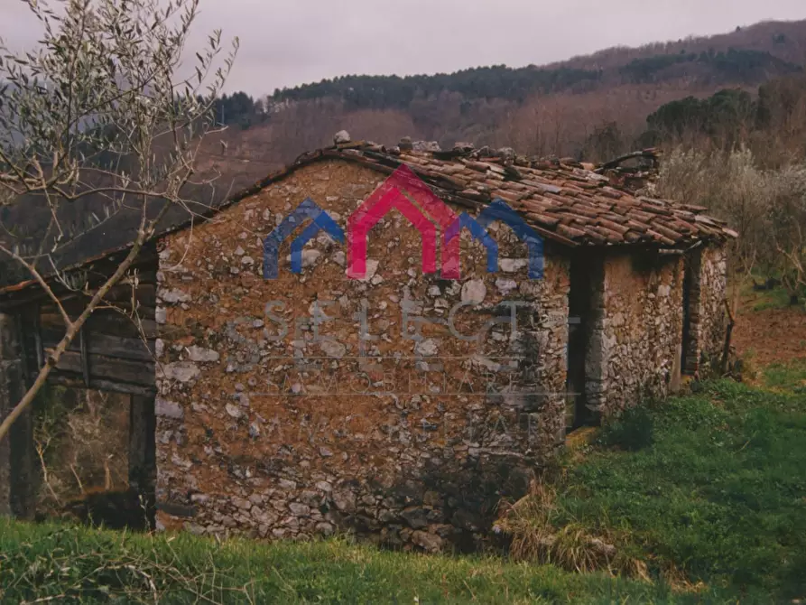 Immagine 54 di Rustico / casale in vendita  a Borgo A Mozzano