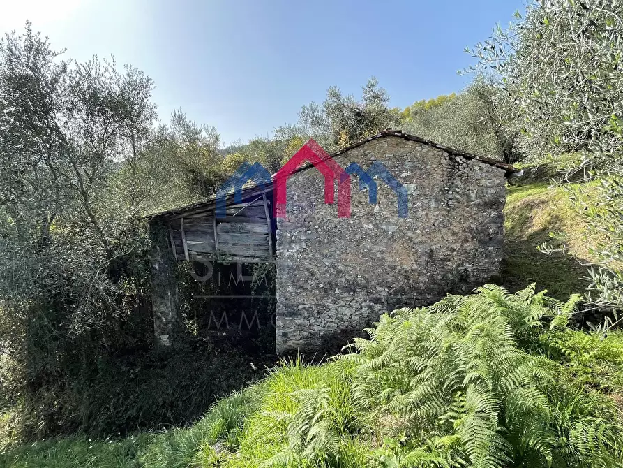 Immagine 6 di Rustico / casale in vendita  a Borgo A Mozzano