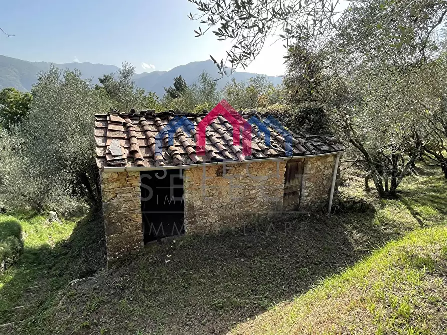Immagine 38 di Rustico / casale in vendita  a Borgo A Mozzano