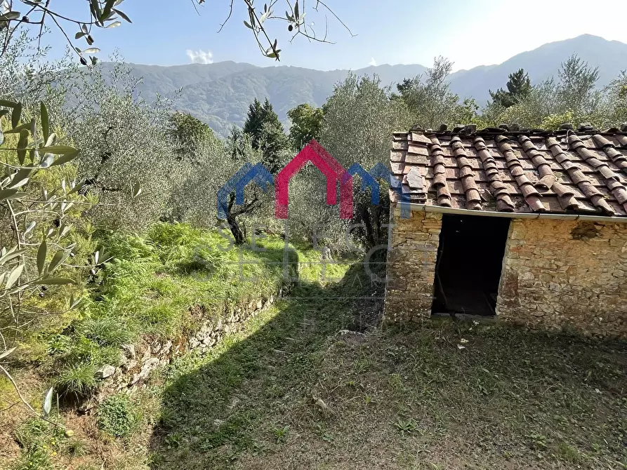 Immagine 37 di Rustico / casale in vendita  a Borgo A Mozzano