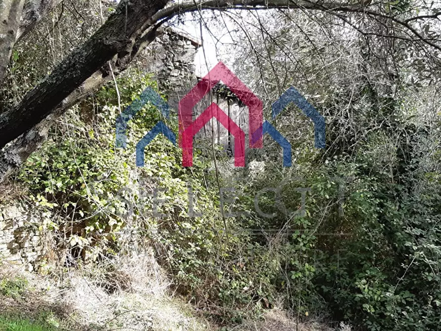 Immagine 45 di Rustico / casale in vendita  a Borgo A Mozzano