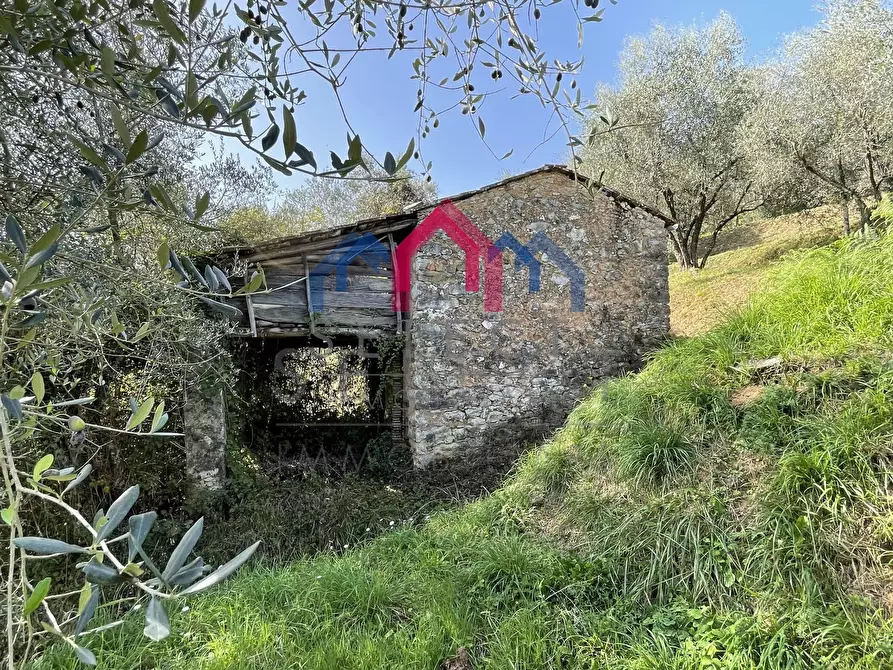 Immagine 7 di Rustico / casale in vendita  a Borgo A Mozzano