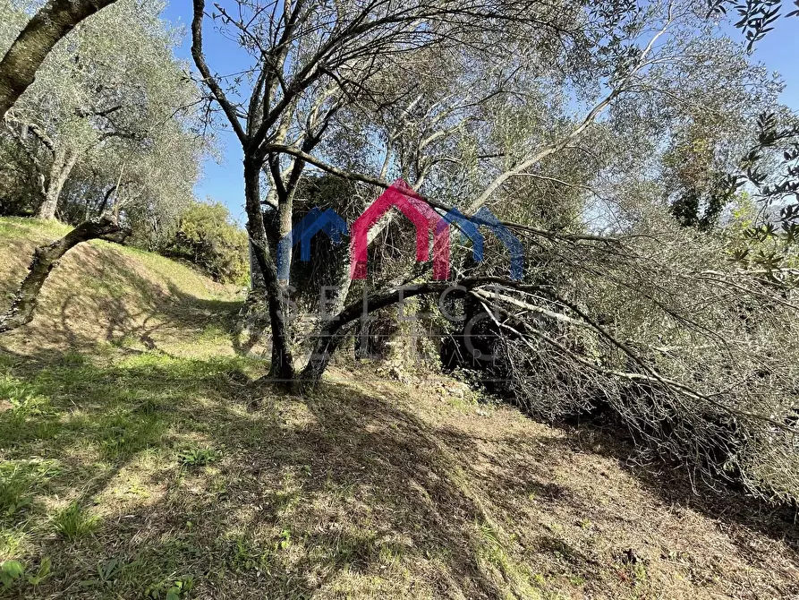 Immagine 29 di Rustico / casale in vendita  a Borgo A Mozzano