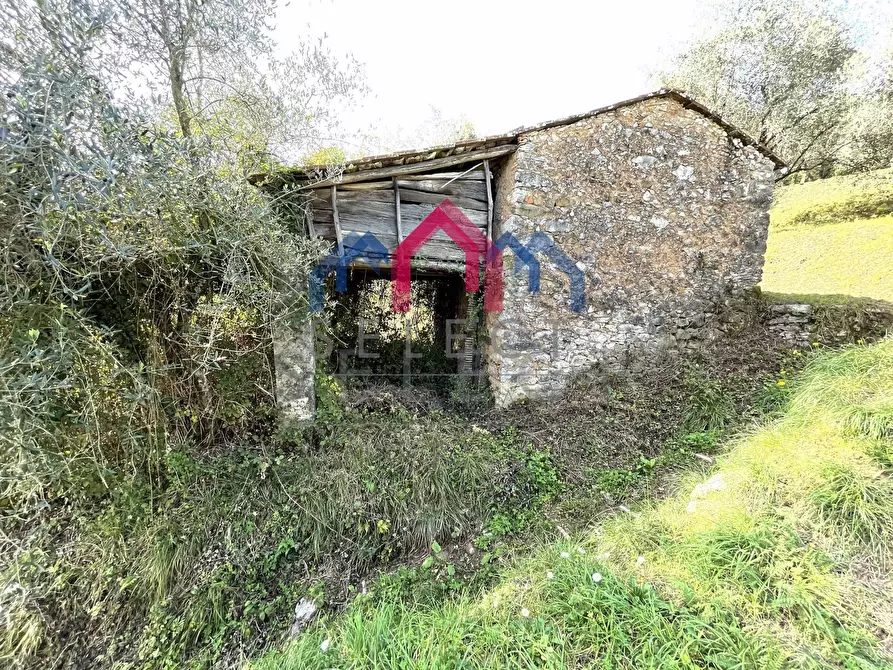 Immagine 8 di Rustico / casale in vendita  a Borgo A Mozzano