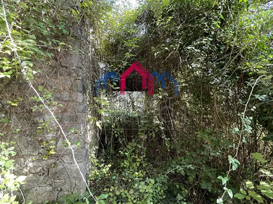 Immagine 25 di Rustico / casale in vendita  a Borgo A Mozzano