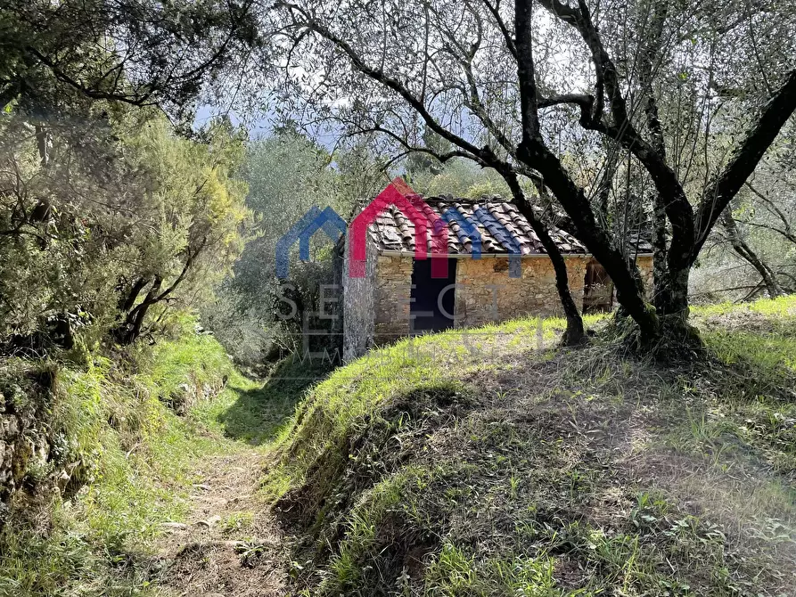 Immagine 4 di Rustico / casale in vendita  a Borgo A Mozzano