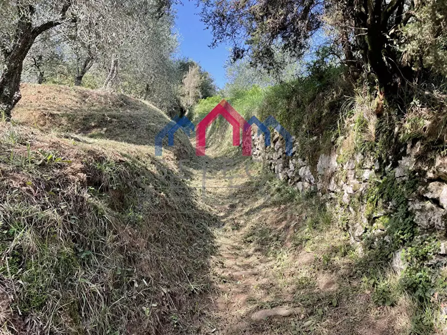 Immagine 3 di Rustico / casale in vendita  a Borgo A Mozzano