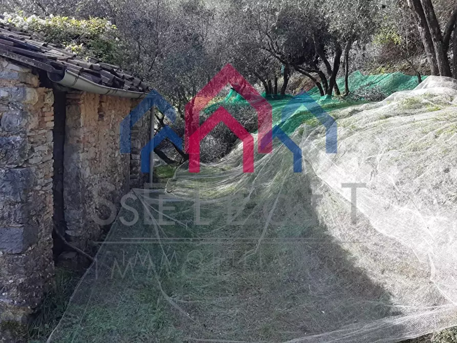 Immagine 41 di Rustico / casale in vendita  a Borgo A Mozzano