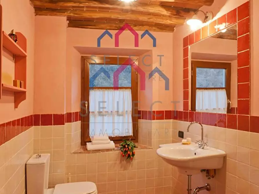 Immagine 29 di Agriturismo in vendita  a Fabbriche Di Vergemoli