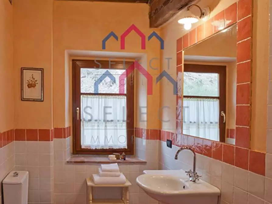 Immagine 22 di Agriturismo in vendita  a Fabbriche Di Vergemoli