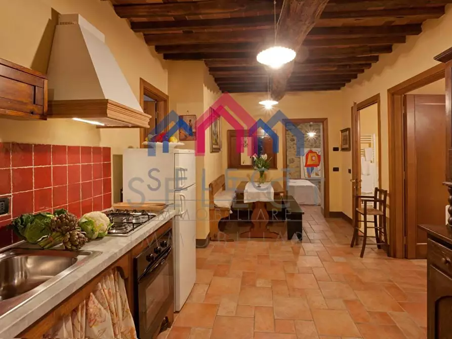 Immagine 1 di Agriturismo in vendita  a Fabbriche Di Vergemoli