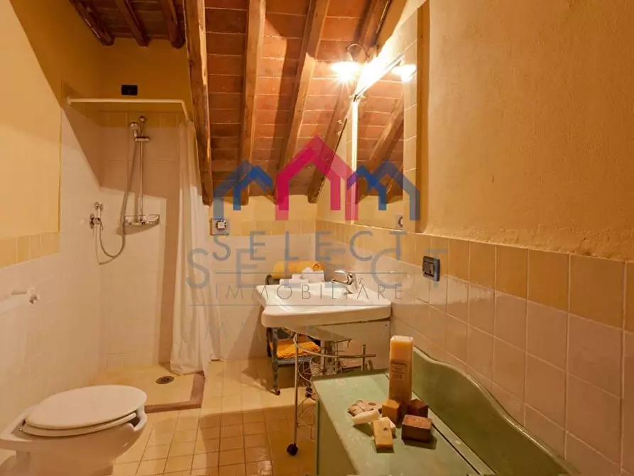 Immagine 12 di Agriturismo in vendita  a Fabbriche Di Vergemoli