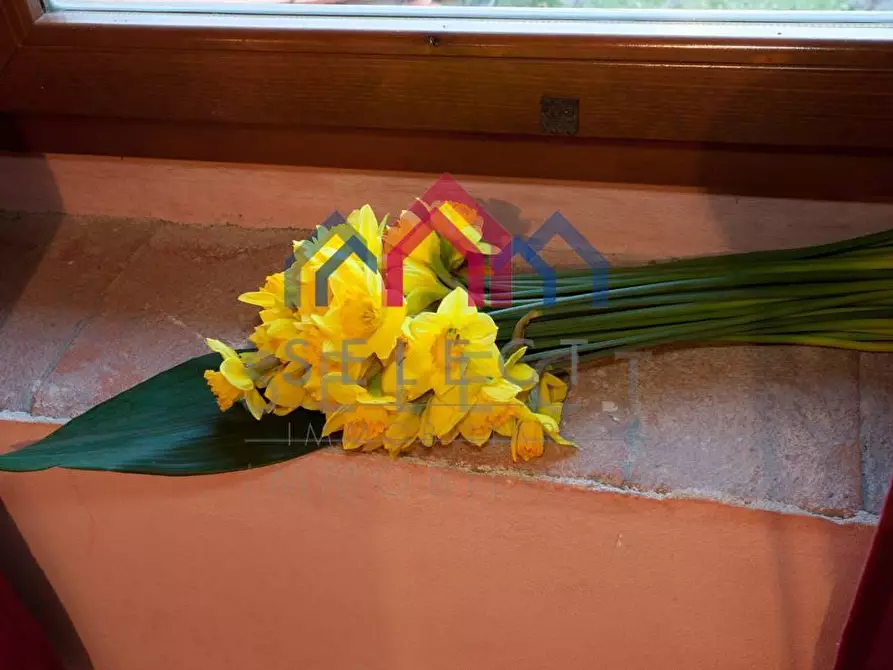 Immagine 30 di Agriturismo in vendita  a Fabbriche Di Vergemoli