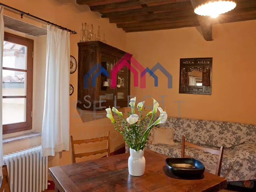 Immagine 21 di Agriturismo in vendita  a Fabbriche Di Vergemoli