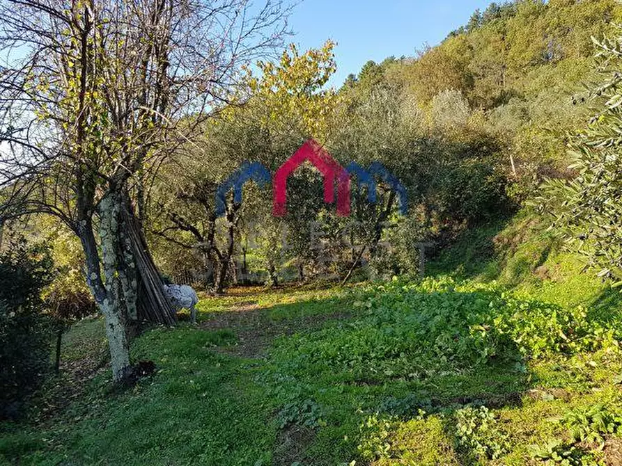 Immagine 9 di Rustico / casale in vendita  a Bagni Di Lucca