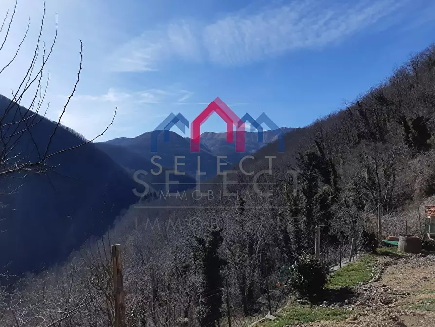 Immagine 5 di Appartamento in vendita  a Pescaglia