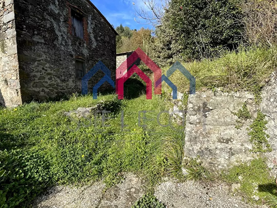 Immagine 29 di Casa semindipendente in vendita  a Borgo A Mozzano