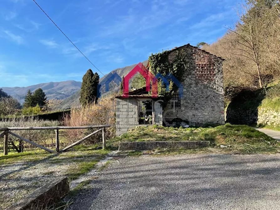 Immagine 3 di Rustico / casale in vendita  a Borgo A Mozzano