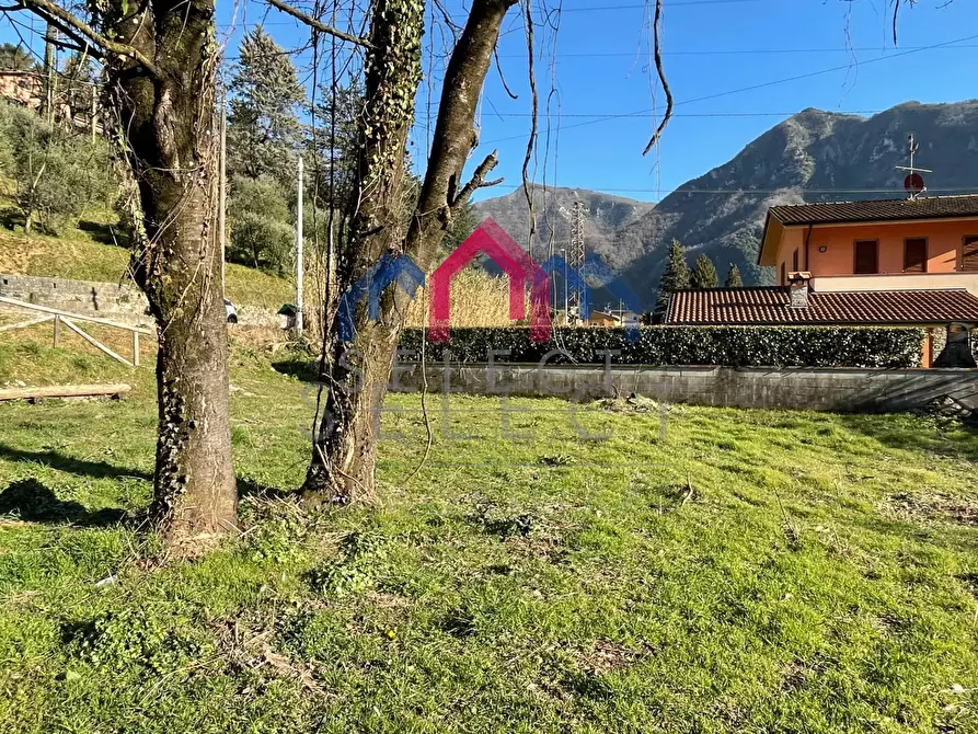 Immagine 10 di Rustico / casale in vendita  a Borgo A Mozzano