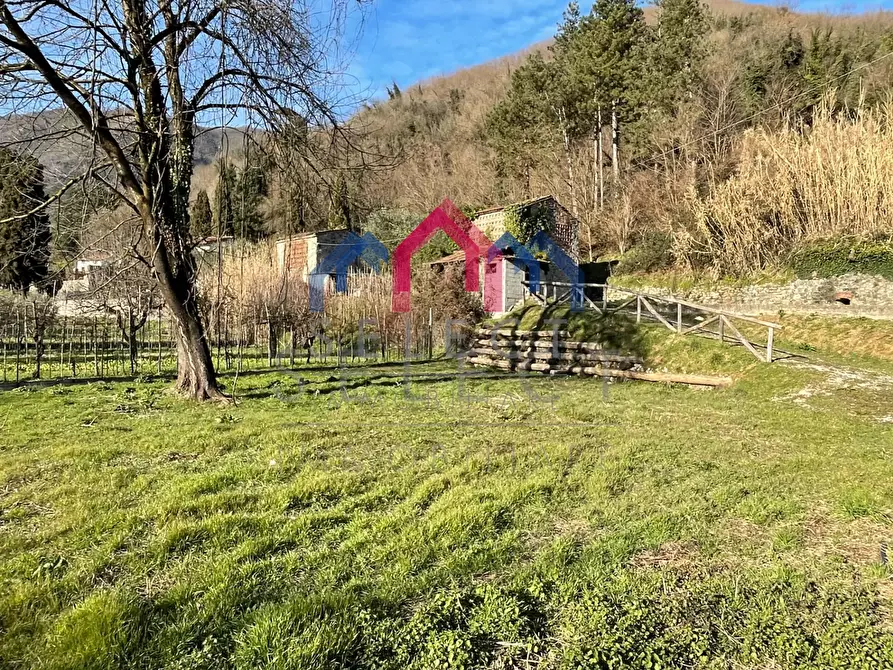 Immagine 6 di Rustico / casale in vendita  a Borgo A Mozzano