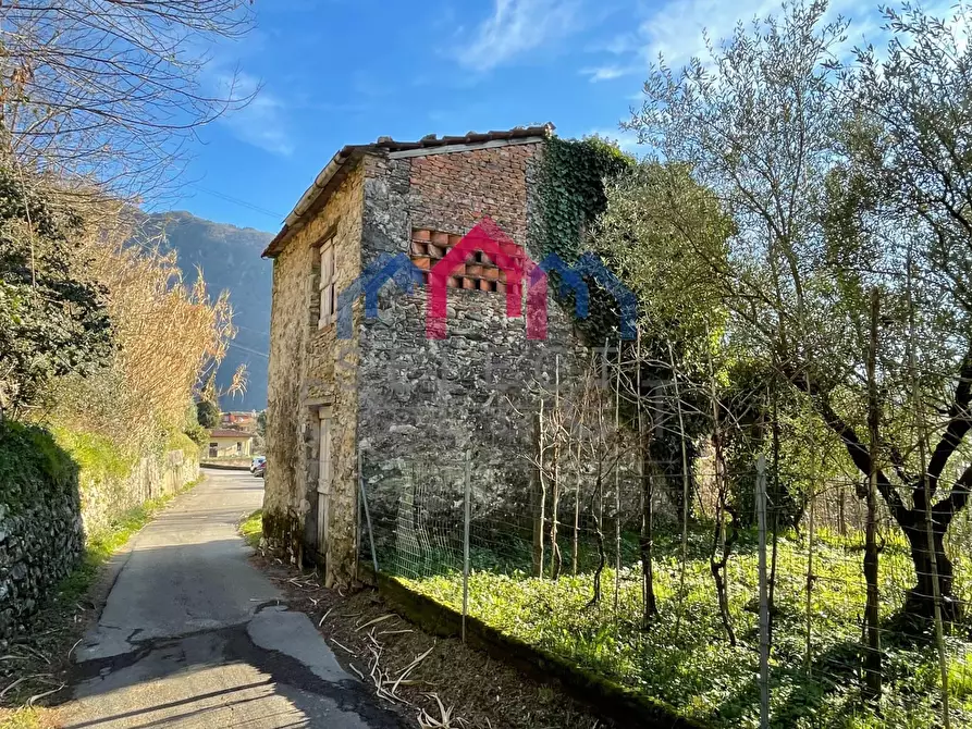 Immagine 15 di Rustico / casale in vendita  a Borgo A Mozzano