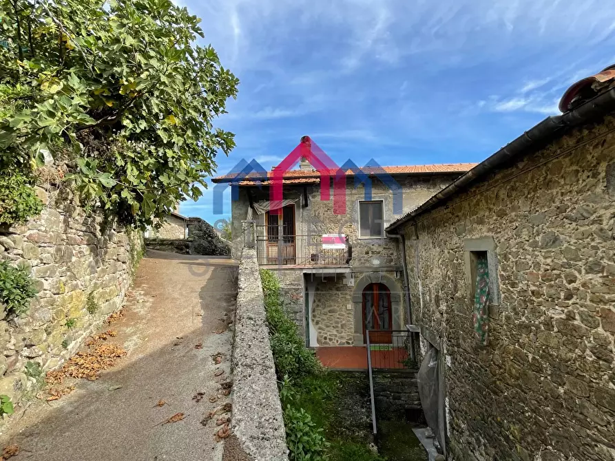 Immagine 3 di Appartamento in vendita  a Minucciano