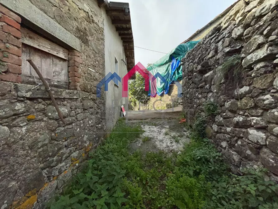 Immagine 9 di Appartamento in vendita  a Minucciano