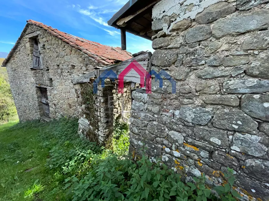 Immagine 8 di Appartamento in vendita  a Minucciano