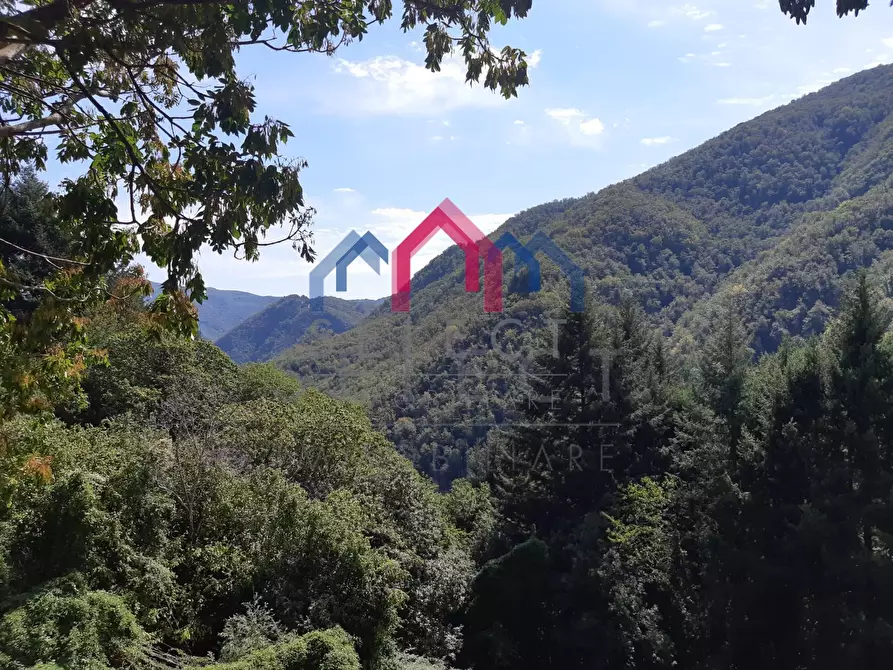 Immagine 75 di Rustico / casale in vendita  a Fabbriche Di Vergemoli