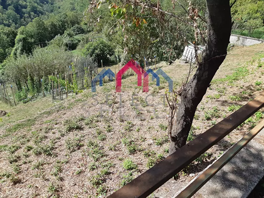 Immagine 66 di Rustico / casale in vendita  a Fabbriche Di Vergemoli