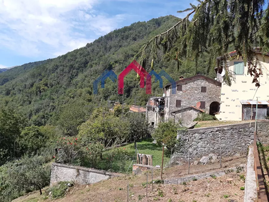 Immagine 58 di Rustico / casale in vendita  a Fabbriche Di Vergemoli