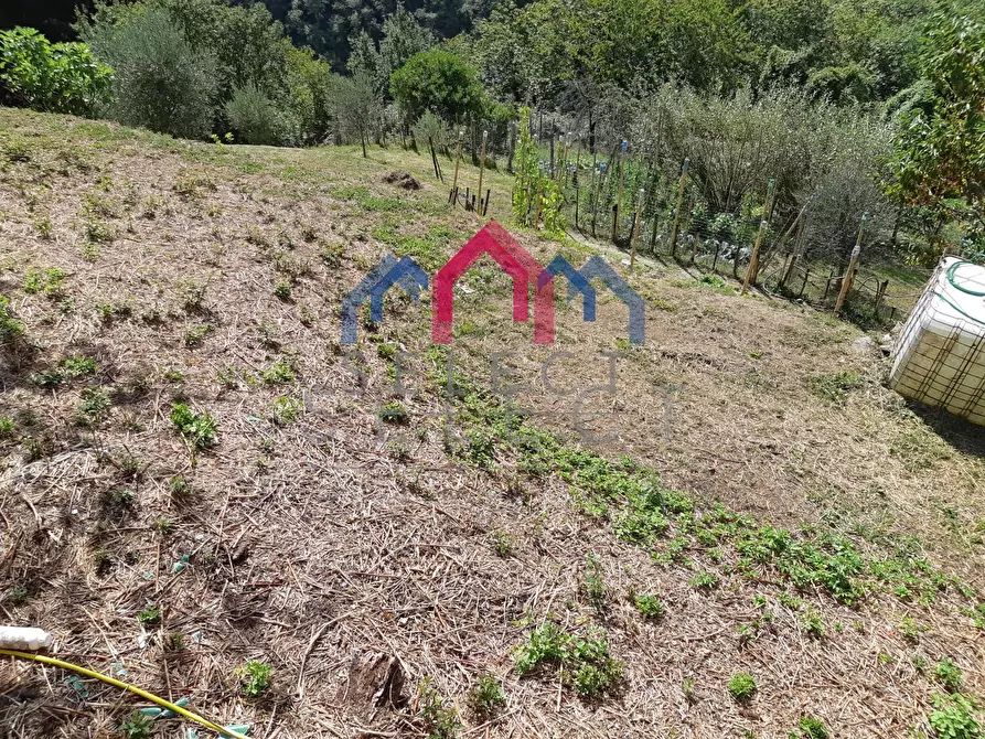 Immagine 54 di Rustico / casale in vendita  a Fabbriche Di Vergemoli