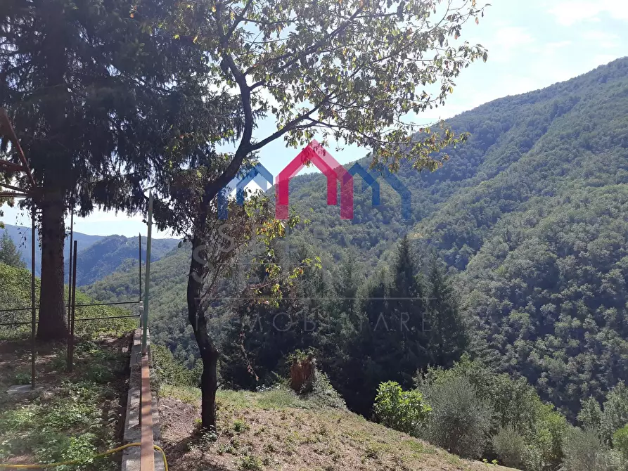 Immagine 56 di Rustico / casale in vendita  a Fabbriche Di Vergemoli
