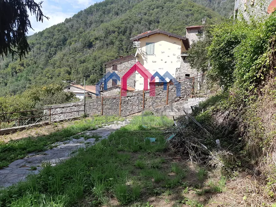 Immagine 49 di Rustico / casale in vendita  a Fabbriche Di Vergemoli