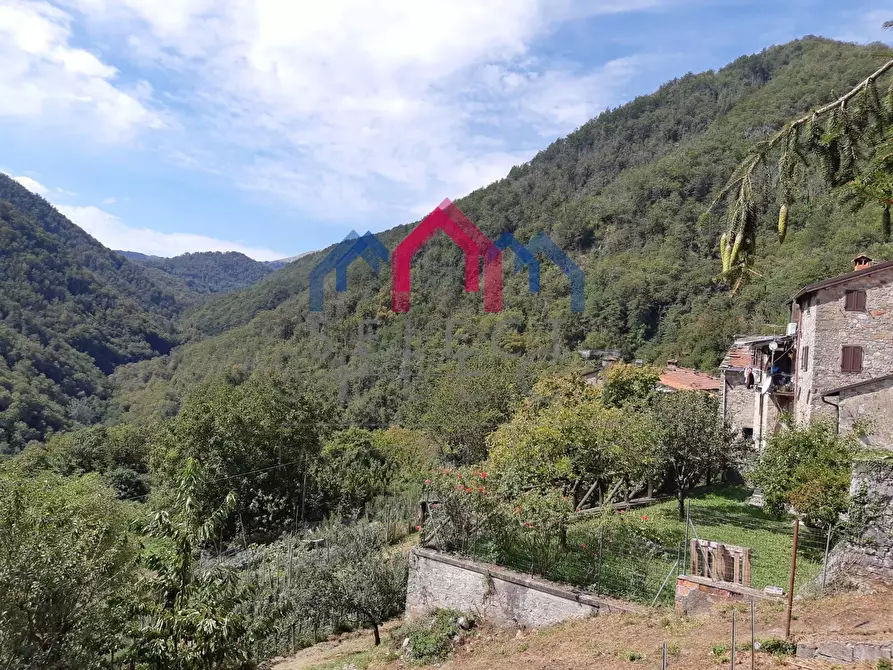 Immagine 2 di Rustico / casale in vendita  a Fabbriche Di Vergemoli