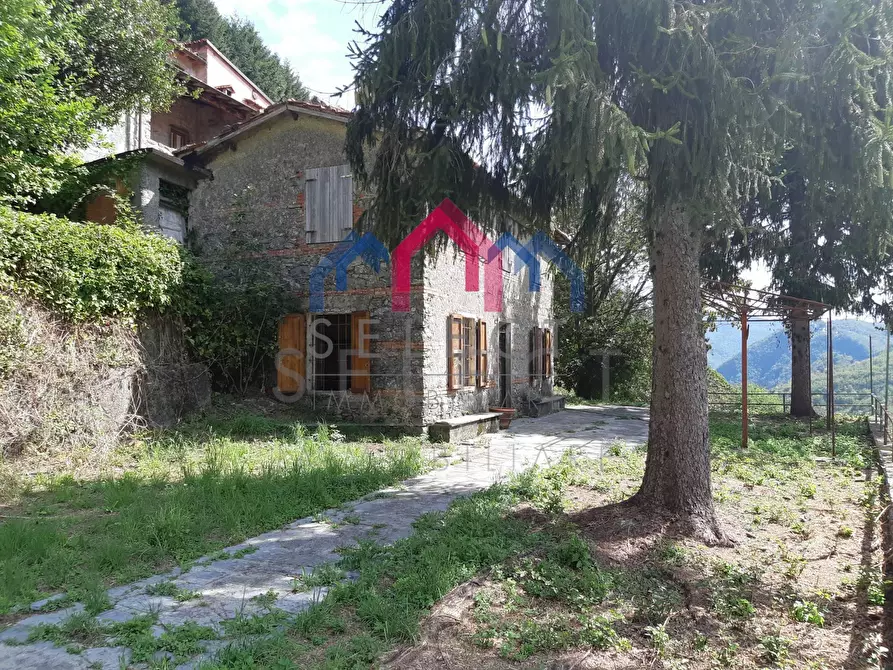 Immagine 45 di Rustico / casale in vendita  a Fabbriche Di Vergemoli