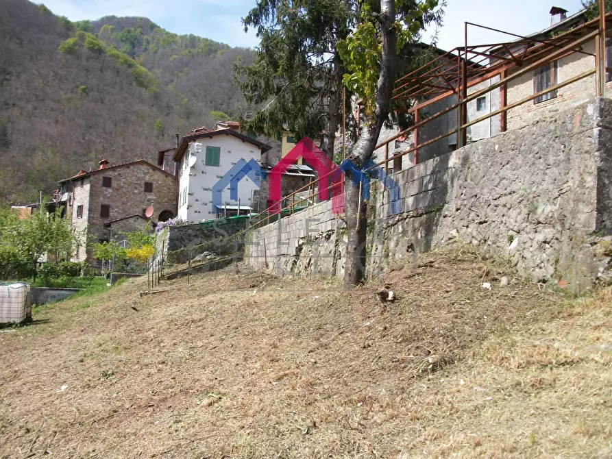 Immagine 3 di Rustico / casale in vendita  a Fabbriche Di Vergemoli