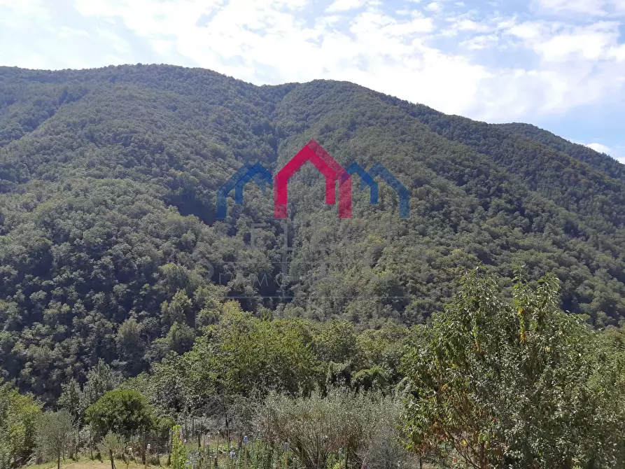 Immagine 57 di Rustico / casale in vendita  a Fabbriche Di Vergemoli