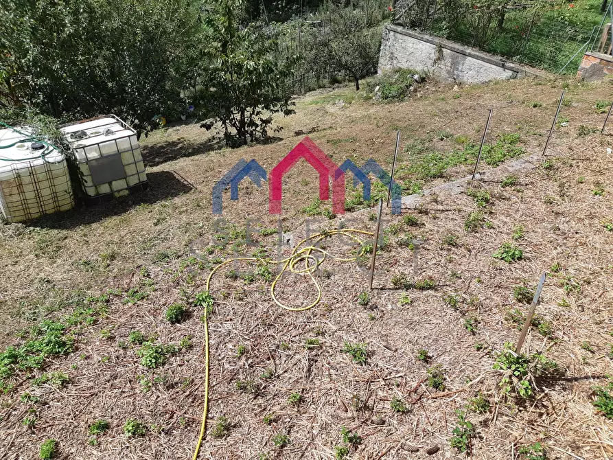 Immagine 52 di Rustico / casale in vendita  a Fabbriche Di Vergemoli