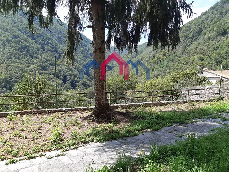 Immagine 48 di Rustico / casale in vendita  a Fabbriche Di Vergemoli