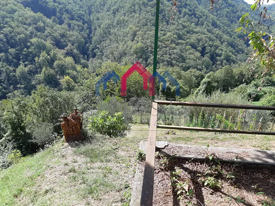 Immagine 65 di Rustico / casale in vendita  a Fabbriche Di Vergemoli