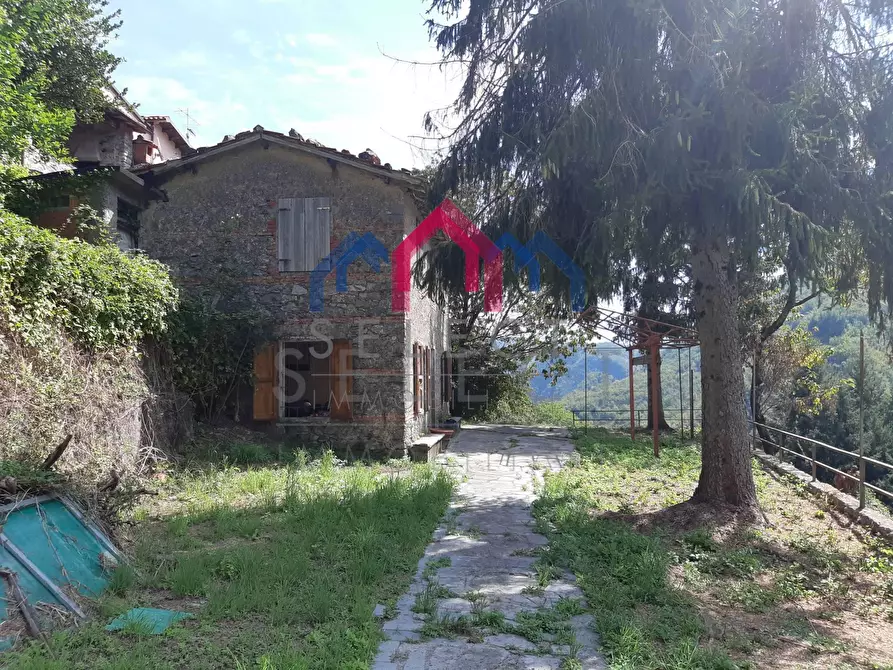 Immagine 44 di Rustico / casale in vendita  a Fabbriche Di Vergemoli
