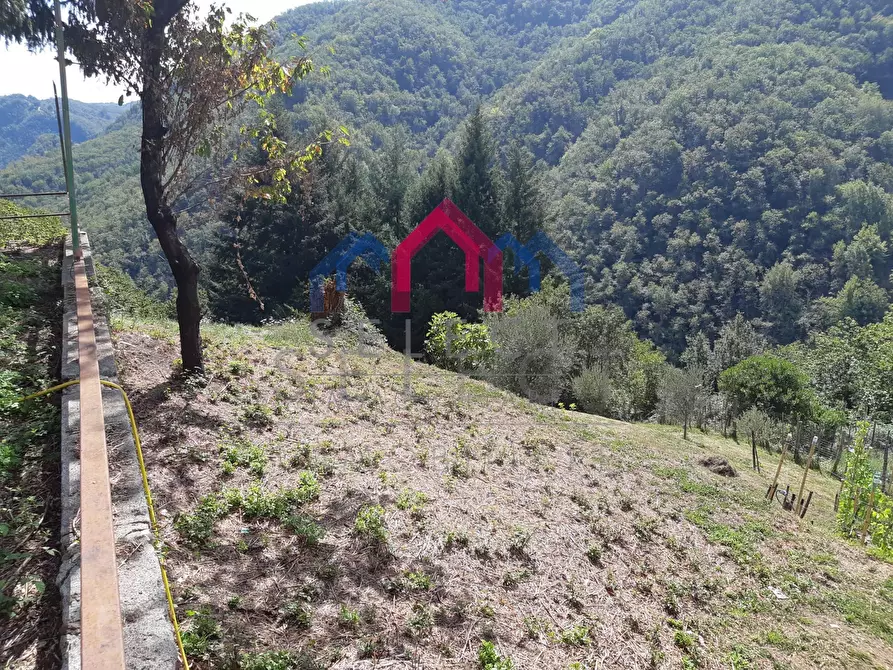 Immagine 55 di Rustico / casale in vendita  a Fabbriche Di Vergemoli