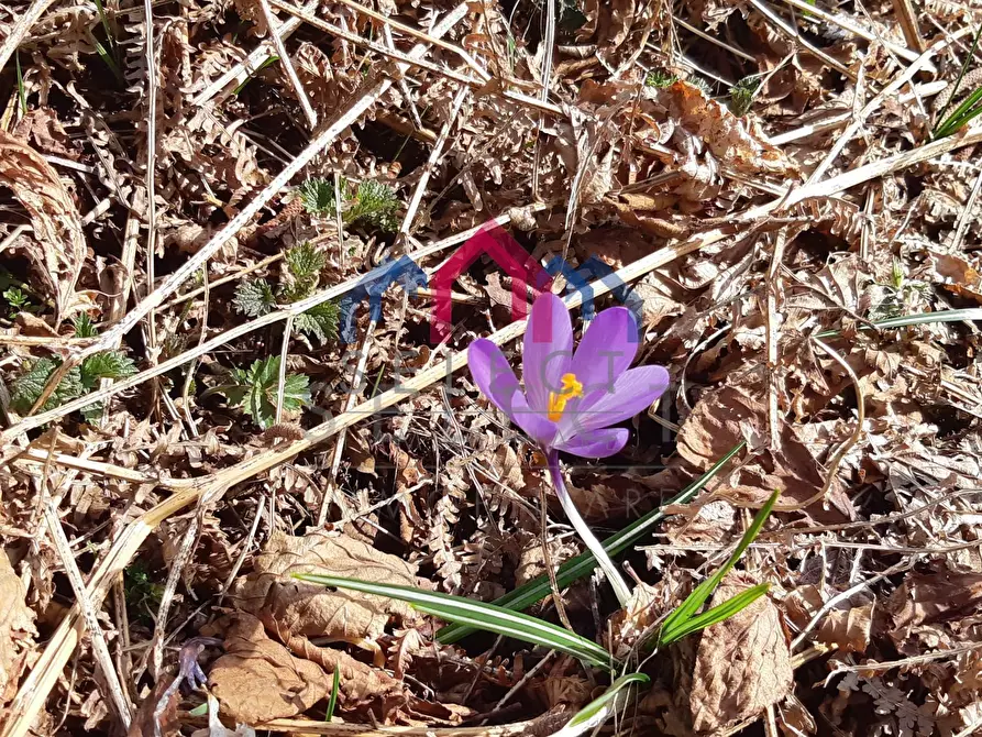 Immagine 2 di Rustico / casale in vendita  a Fabbriche Di Vergemoli