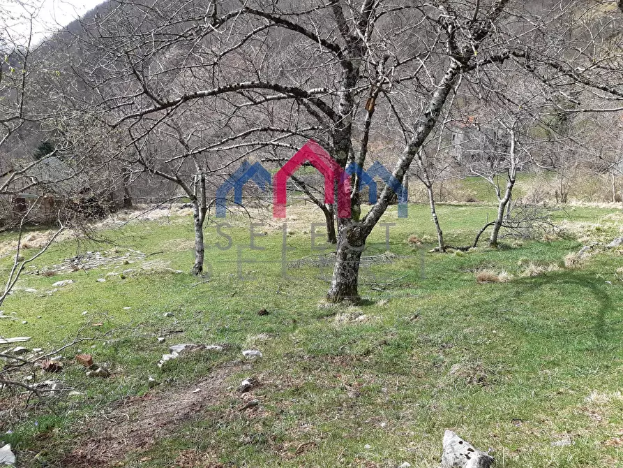 Immagine 54 di Rustico / casale in vendita  a Fabbriche Di Vergemoli