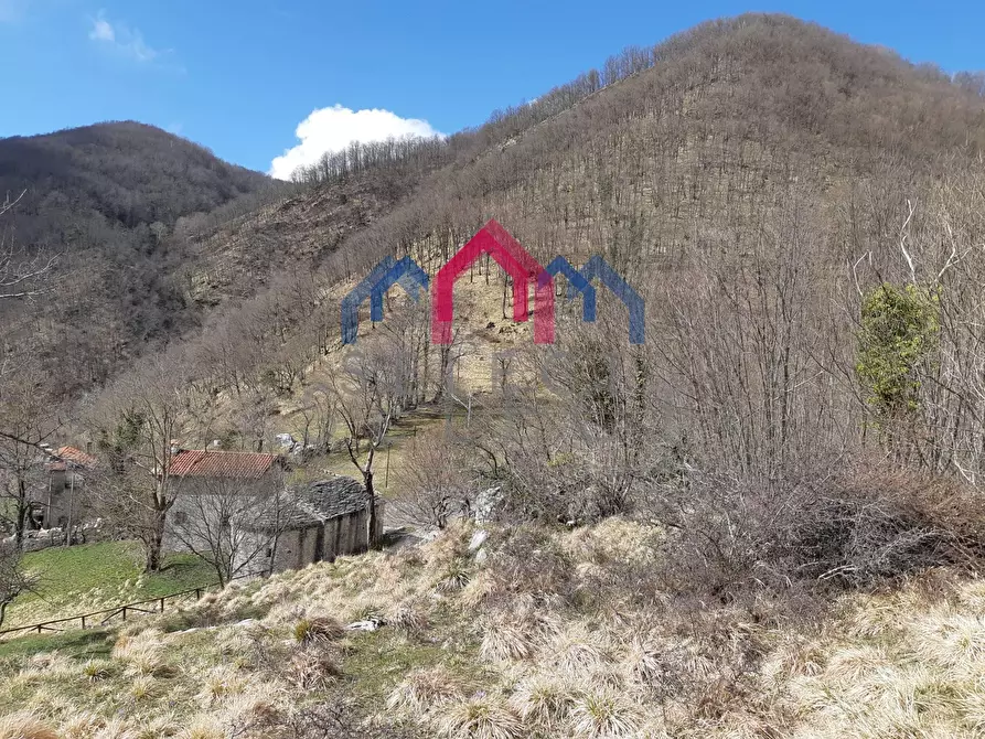 Immagine 57 di Rustico / casale in vendita  a Fabbriche Di Vergemoli