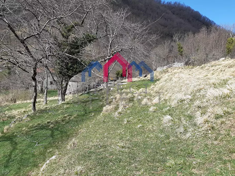 Immagine 55 di Rustico / casale in vendita  a Fabbriche Di Vergemoli