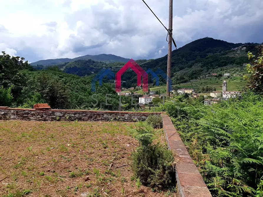 Immagine 31 di Casa semindipendente in vendita  a Borgo A Mozzano