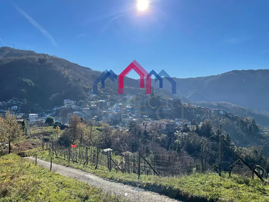 Immagine 3 di Casa semindipendente in vendita  a Borgo A Mozzano